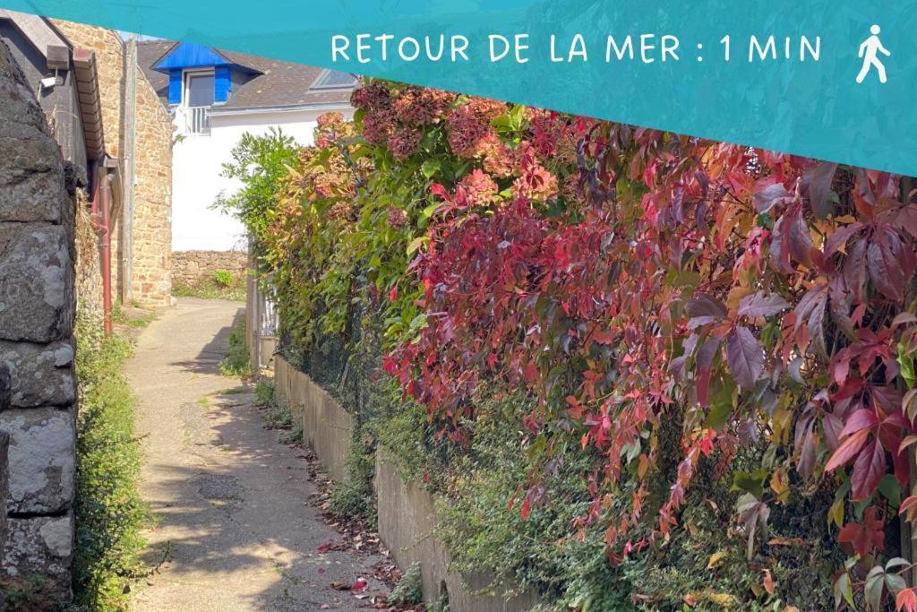 Ty Gavrinis - T2- Centre Bourg - 100M De La Mer Larmor-Baden Exterior photo